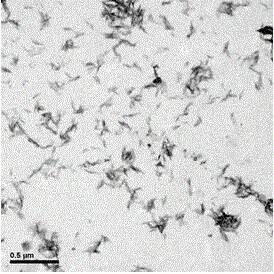 Aggregation-induced luminescent nanometer fluorescent probe and preparation method thereof