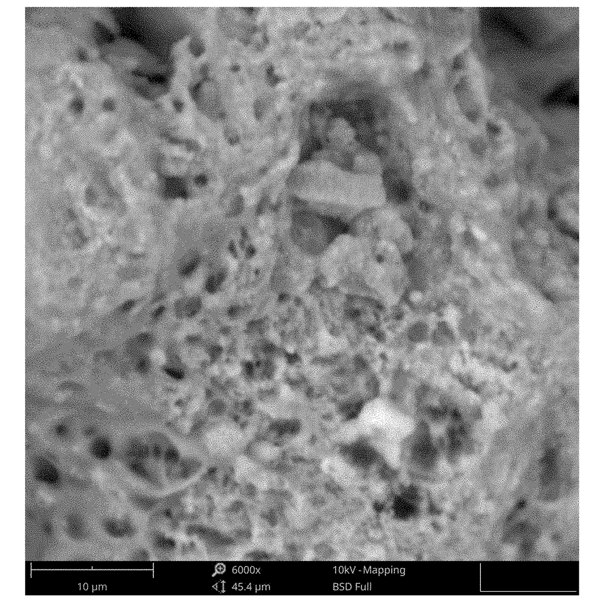 Temozolomide powder formulation