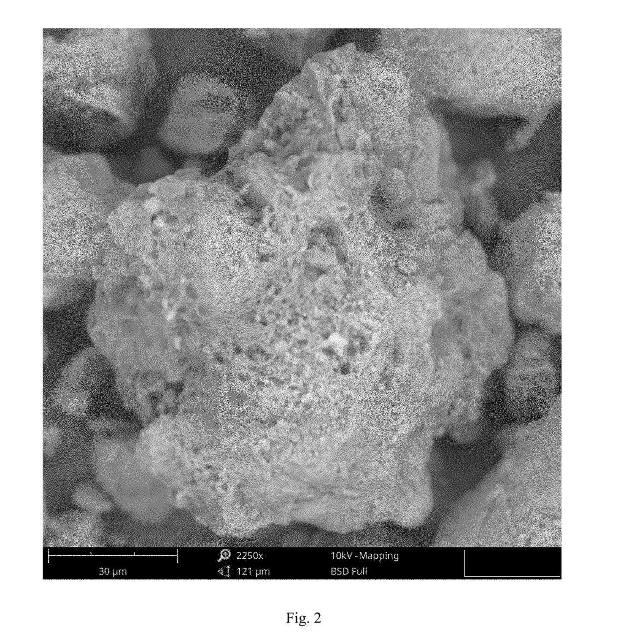 Temozolomide powder formulation