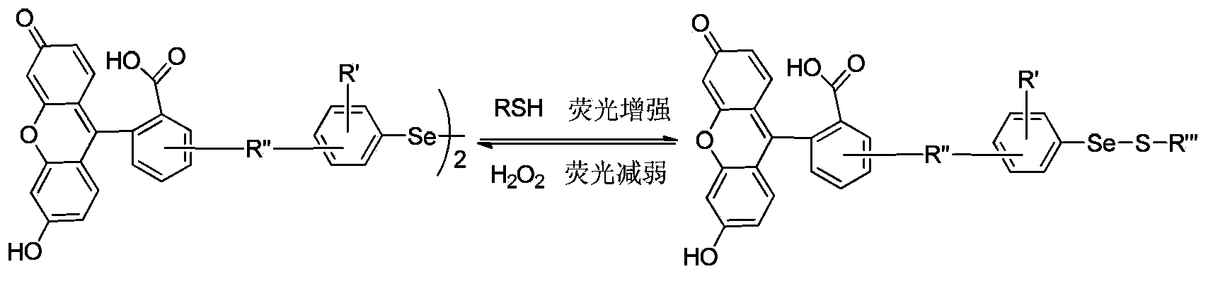 Fluorescent probe and application thereof in dynamic detection of mercaptan