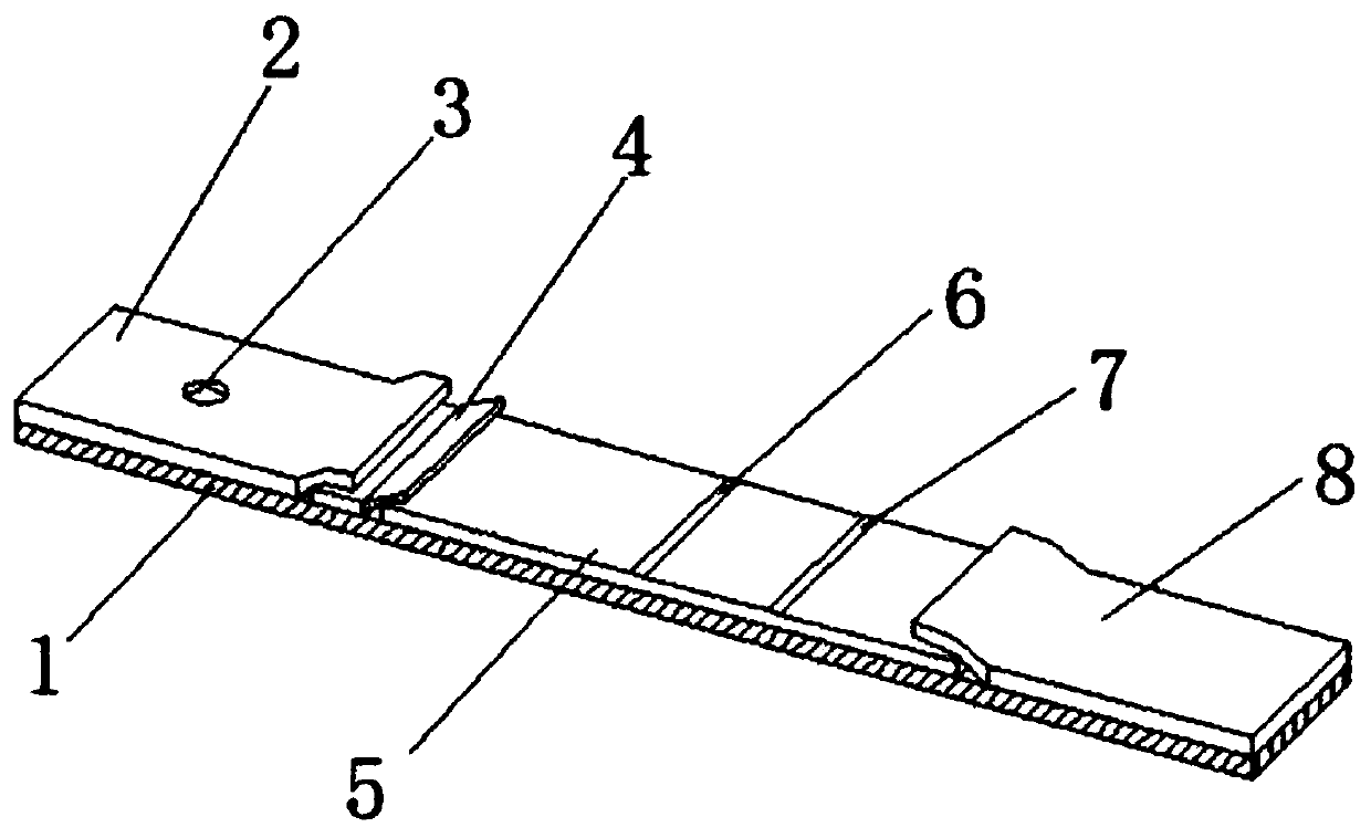 Fluorescent immunochromatographic test paper for detecting procalcitonin, and preparation method thereof