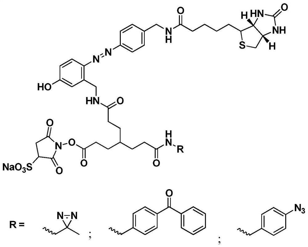 Multifunctional cross-linking agent as well as preparation method and application thereof