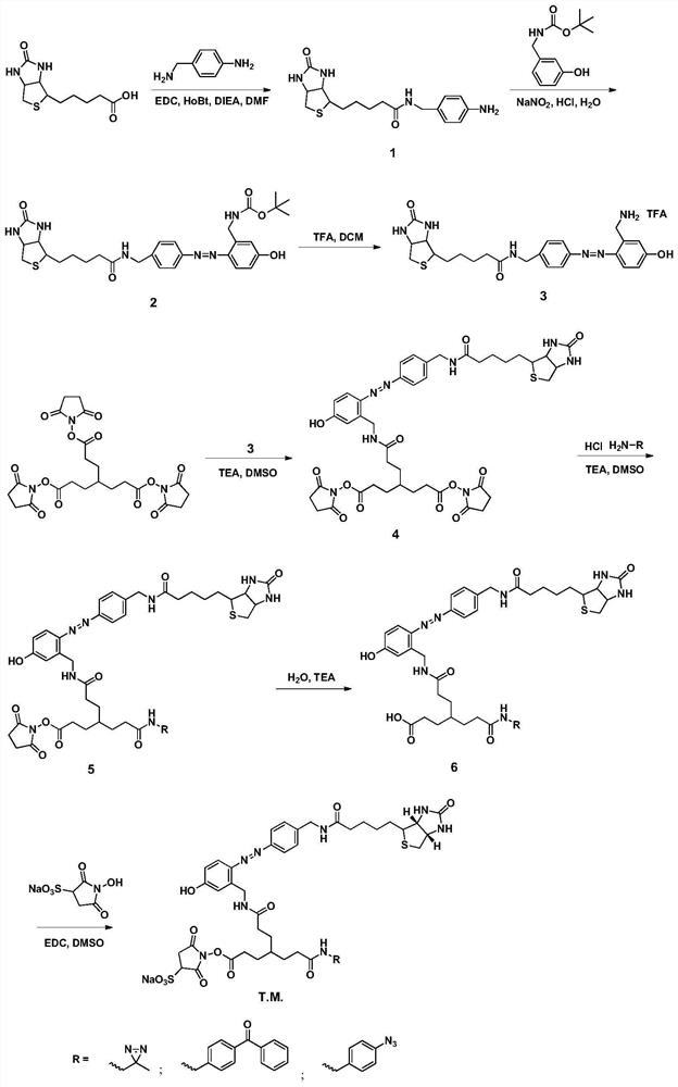 Multifunctional cross-linking agent as well as preparation method and application thereof