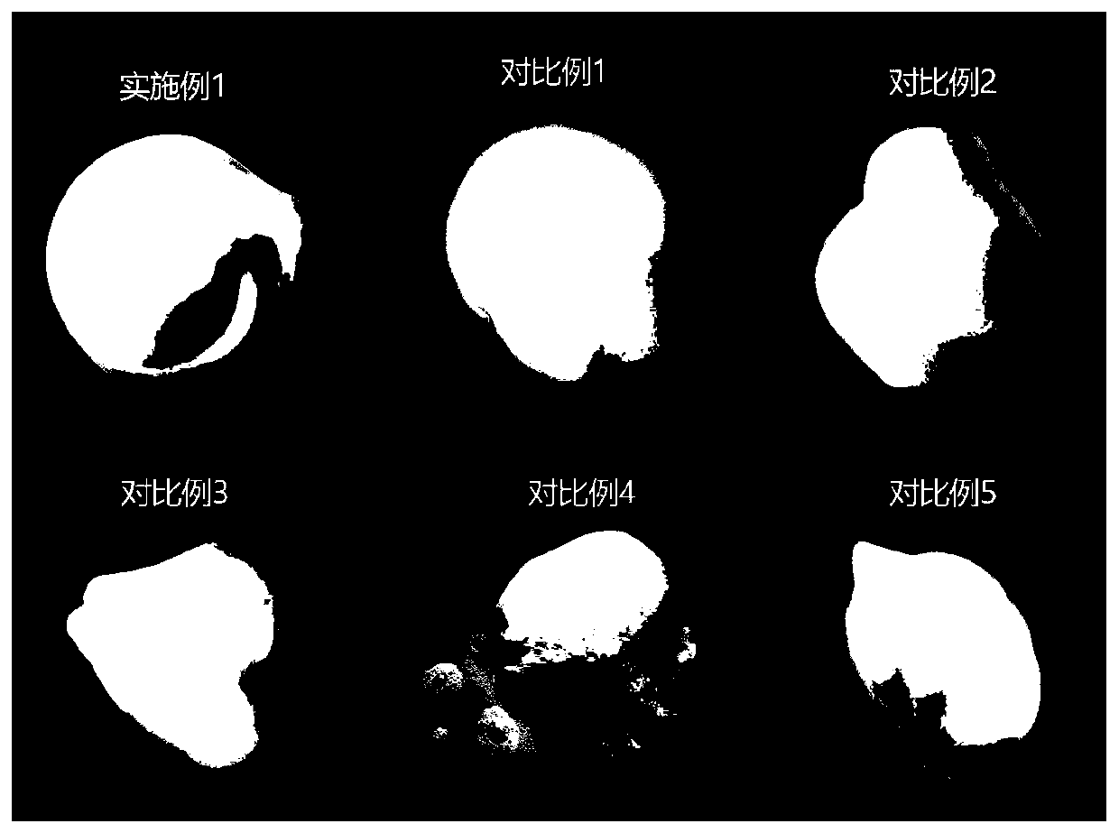 Elastic, dense and soft facial cleanser mousse and preparation method thereof