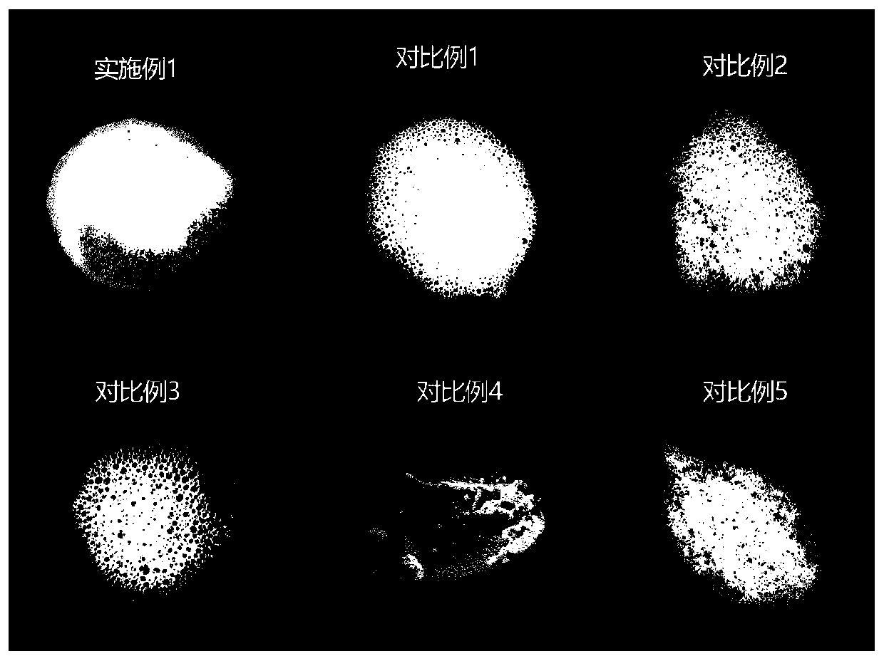 Elastic, dense and soft facial cleanser mousse and preparation method thereof