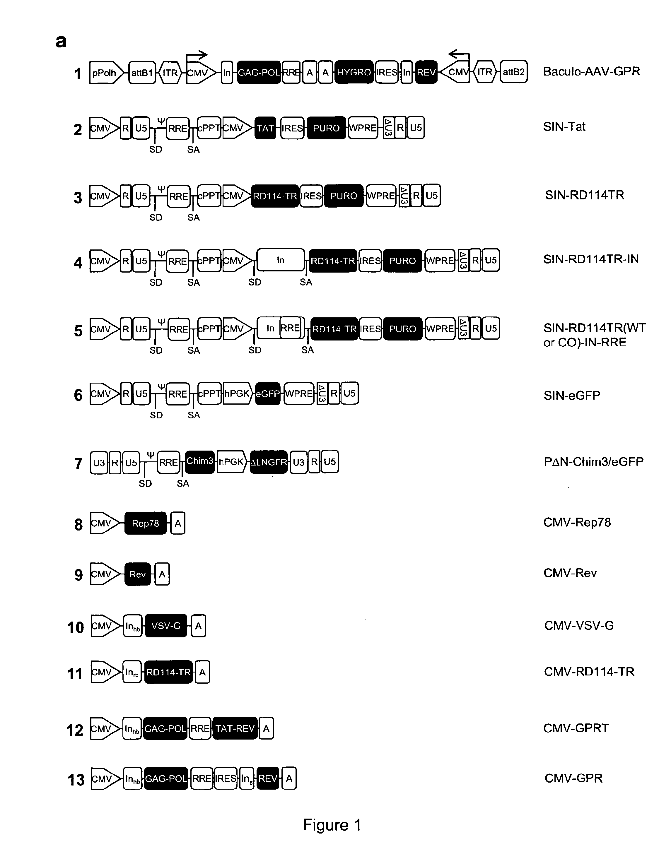 Stable production of lentiviral vectors