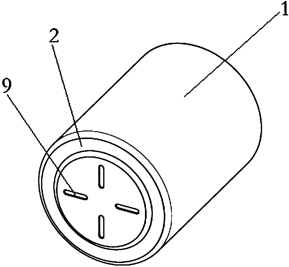 Lithium ion battery and case thereof