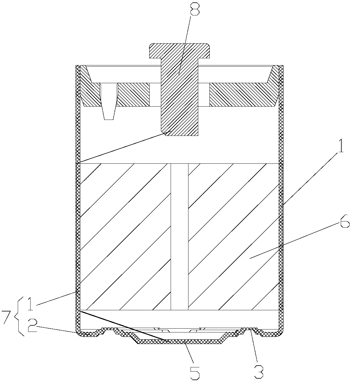 Lithium ion battery and case thereof