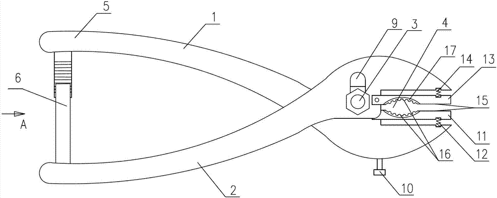 Temporary earthing clamp device