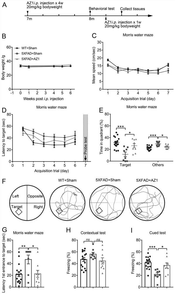 Compound for treating alzheimer's disease