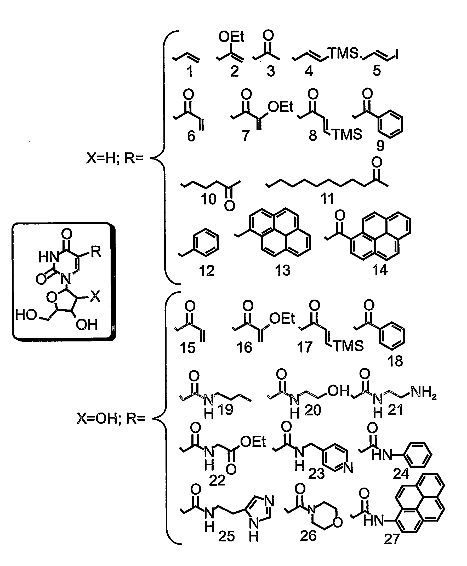 Nucleic acid molecules, polypeptides, antibodies and compositions containing same useful for treating and detecting influenza virus infection