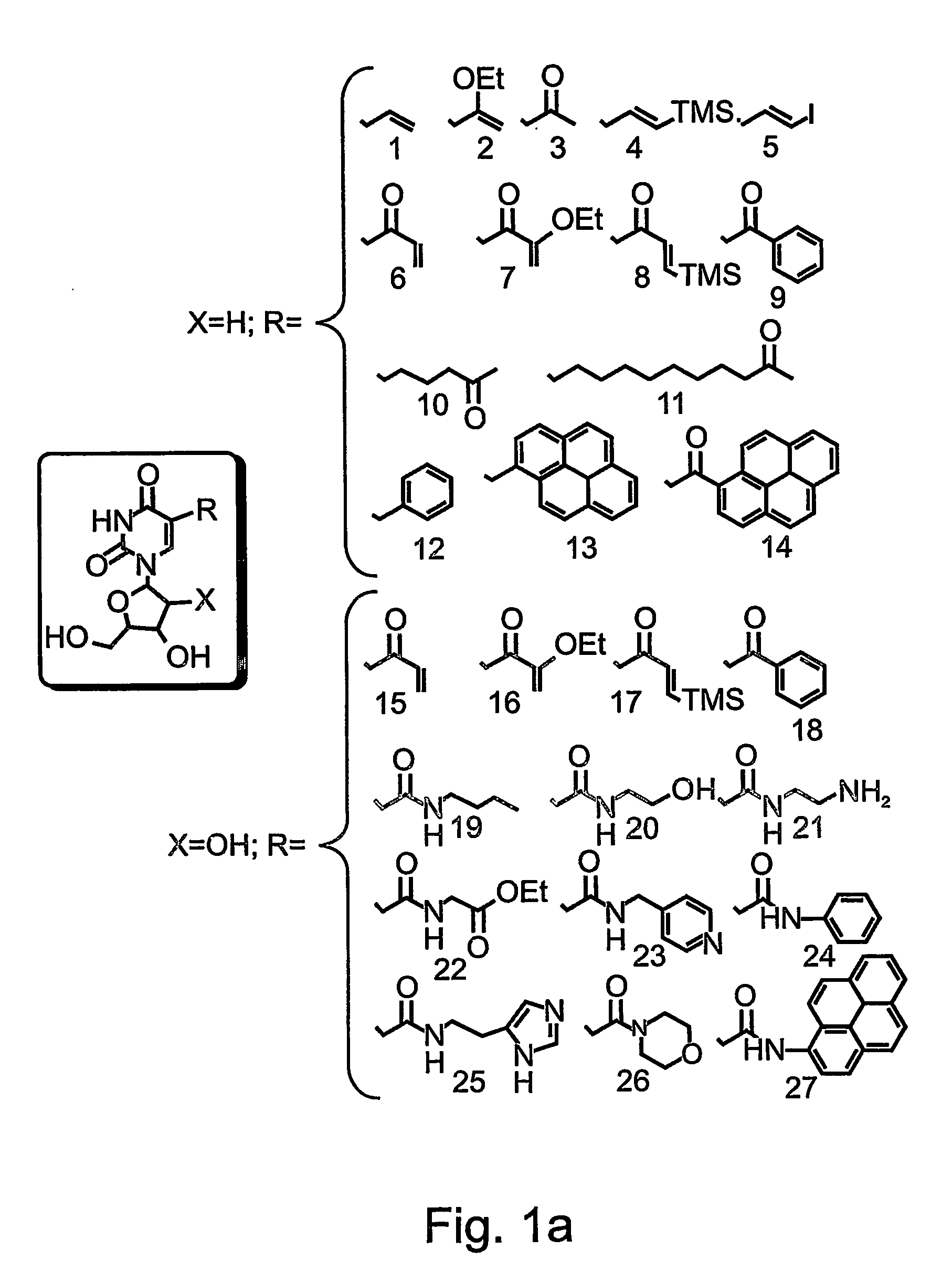 Nucleic acid molecules, polypeptides, antibodies and compositions containing same useful for treating and detecting influenza virus infection