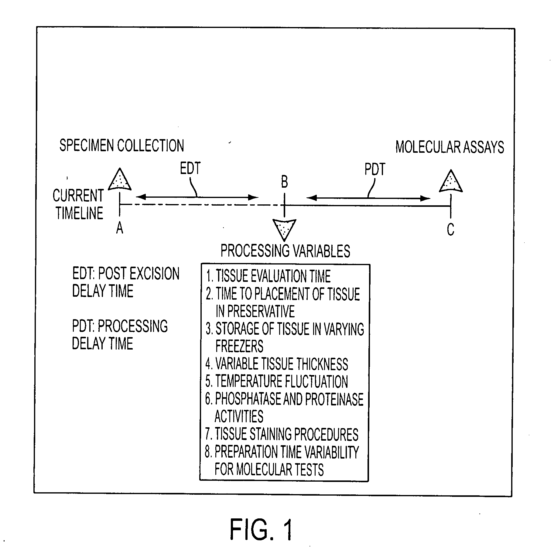 Tissue preservation and fixation method