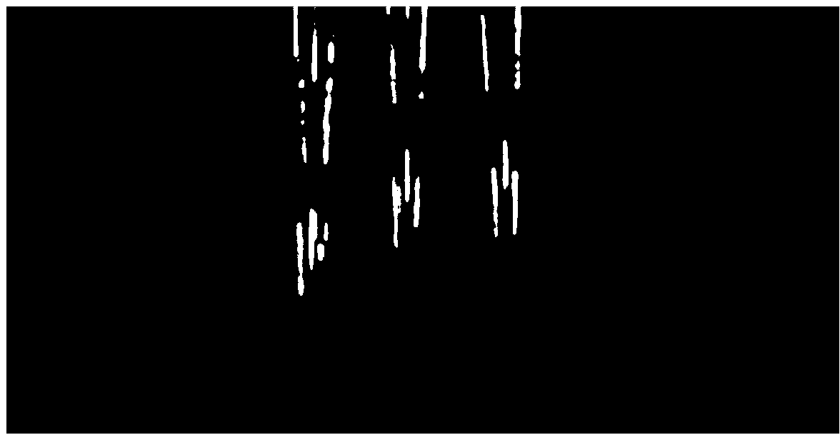 Method for preparing yeast by adding traditional Chinese medicines in mould fusant