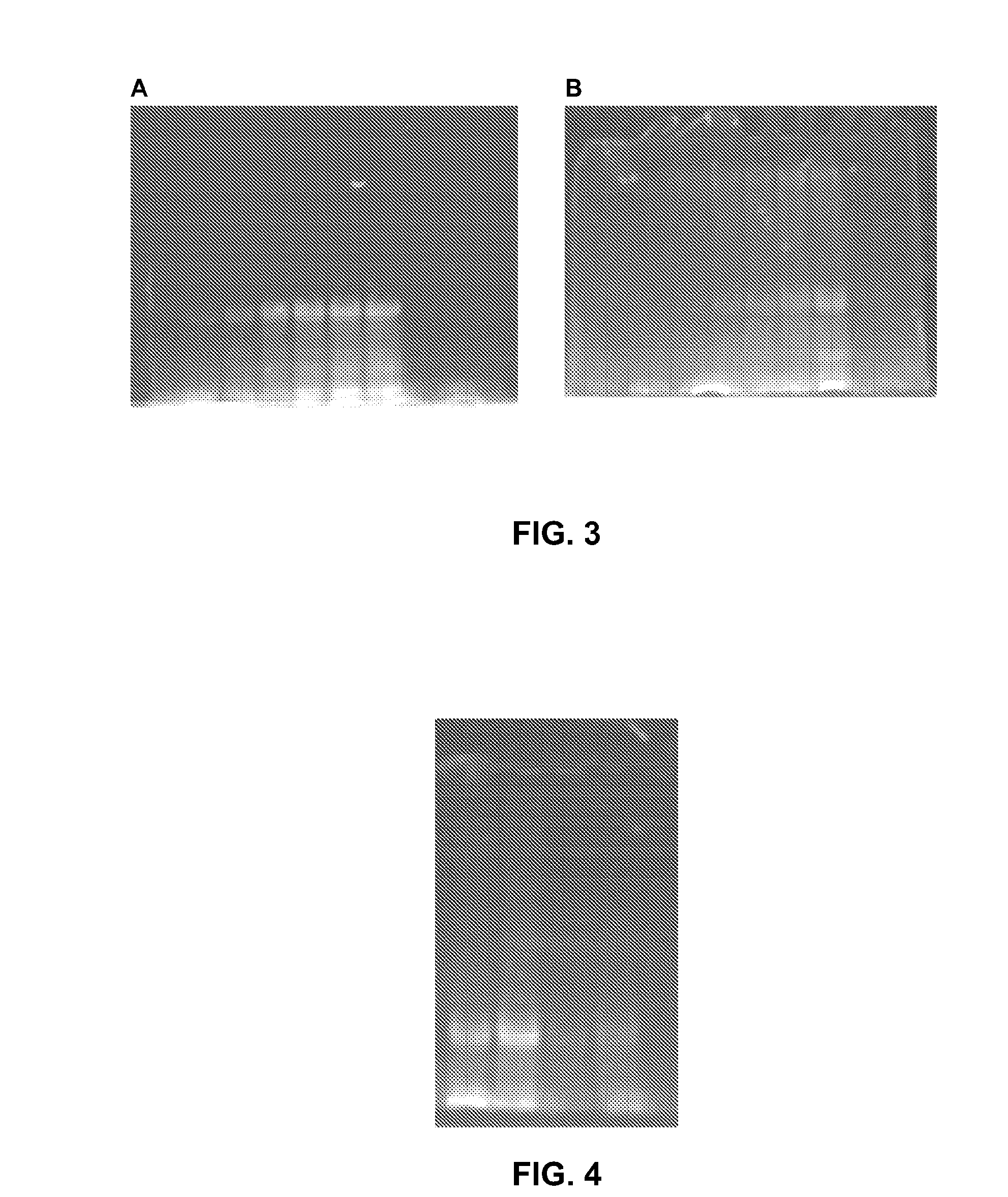 Double-labelling agents based on vinyl sulphone