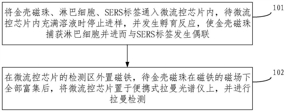 Detection method of radiation-damaged sers in lymphocytes