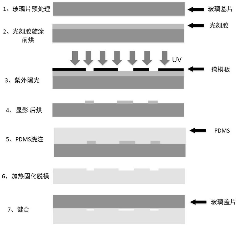 Detection method of radiation-damaged sers in lymphocytes