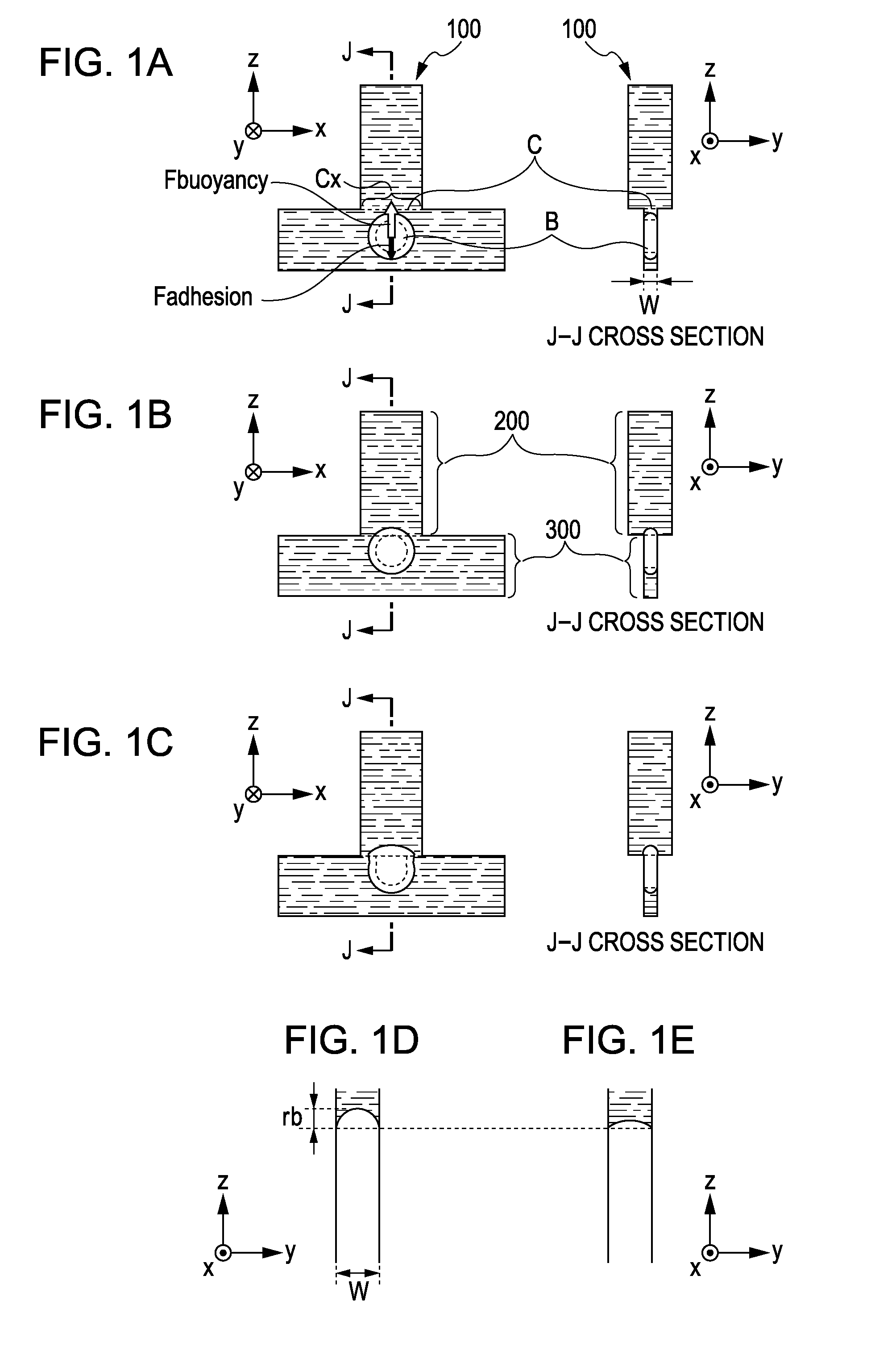 Liquid discharge head and recording apparatus having the same