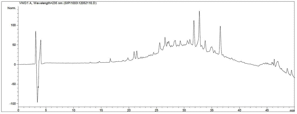 Paederia scandens water extract, and preparation method and application thereof