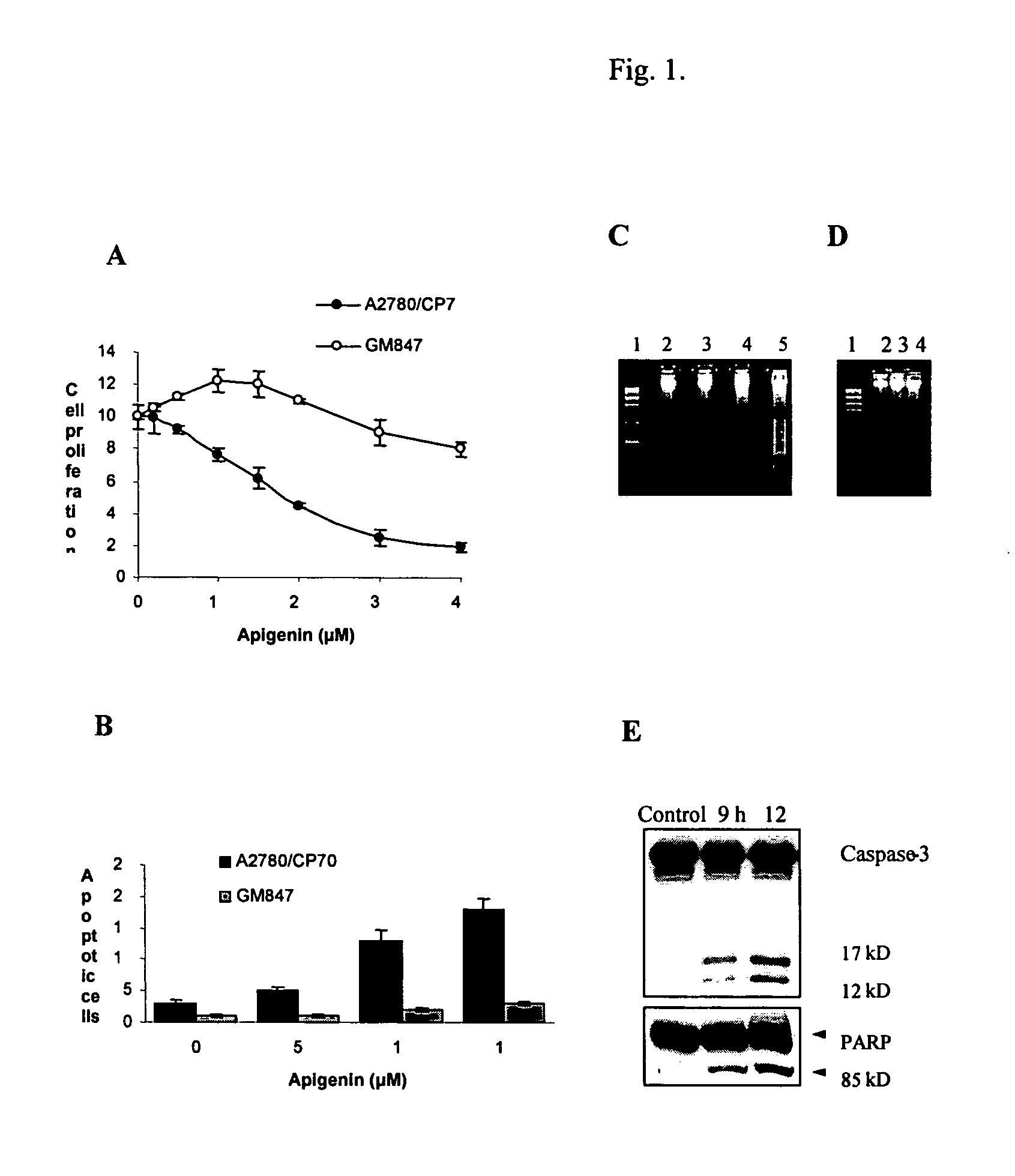 Apigenin for chemoprevention, and chemotherapy combined with therapeutic reagents