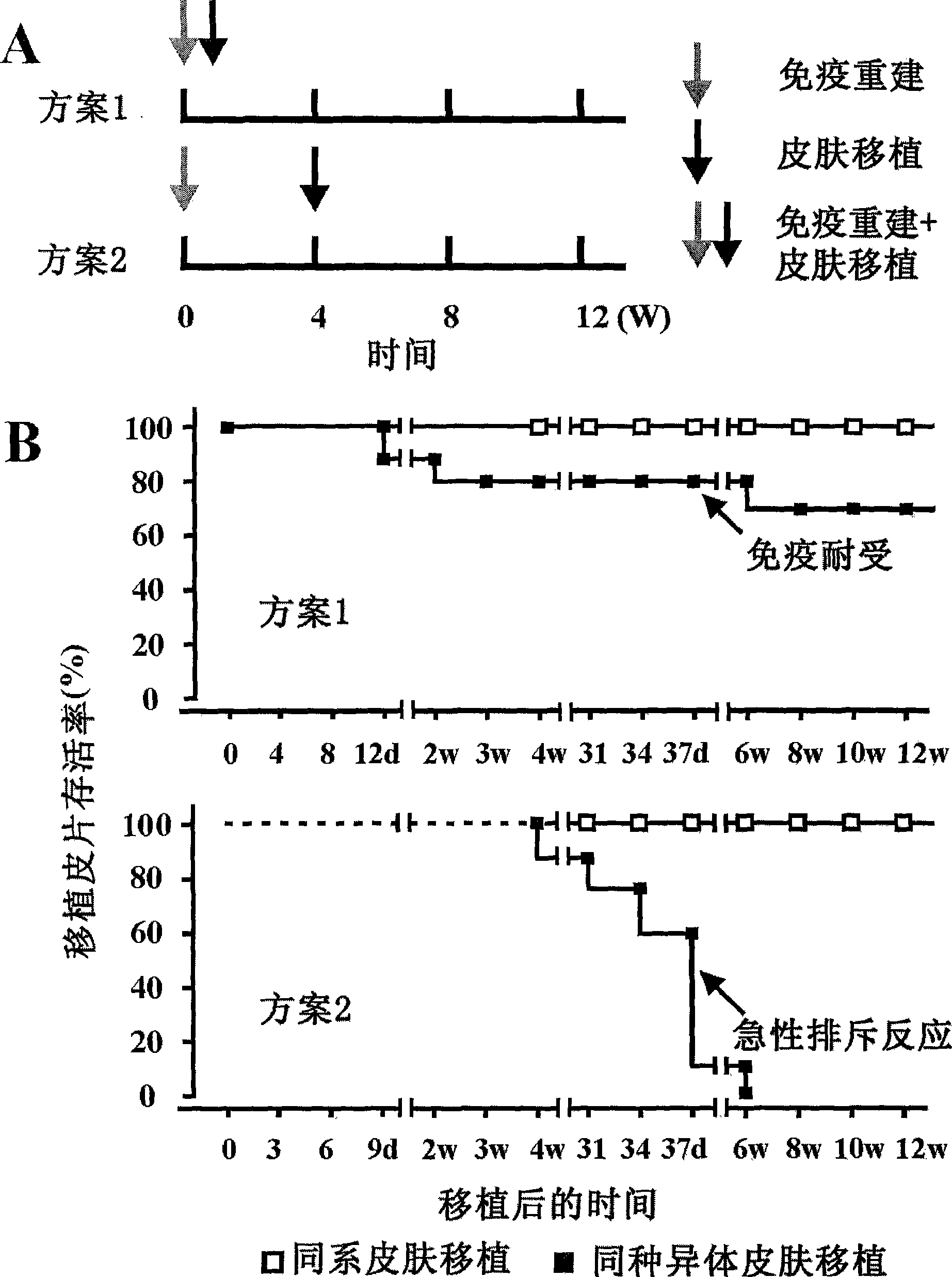 Method for constructing HSAT H-T-S mouse-human chimeric model and application