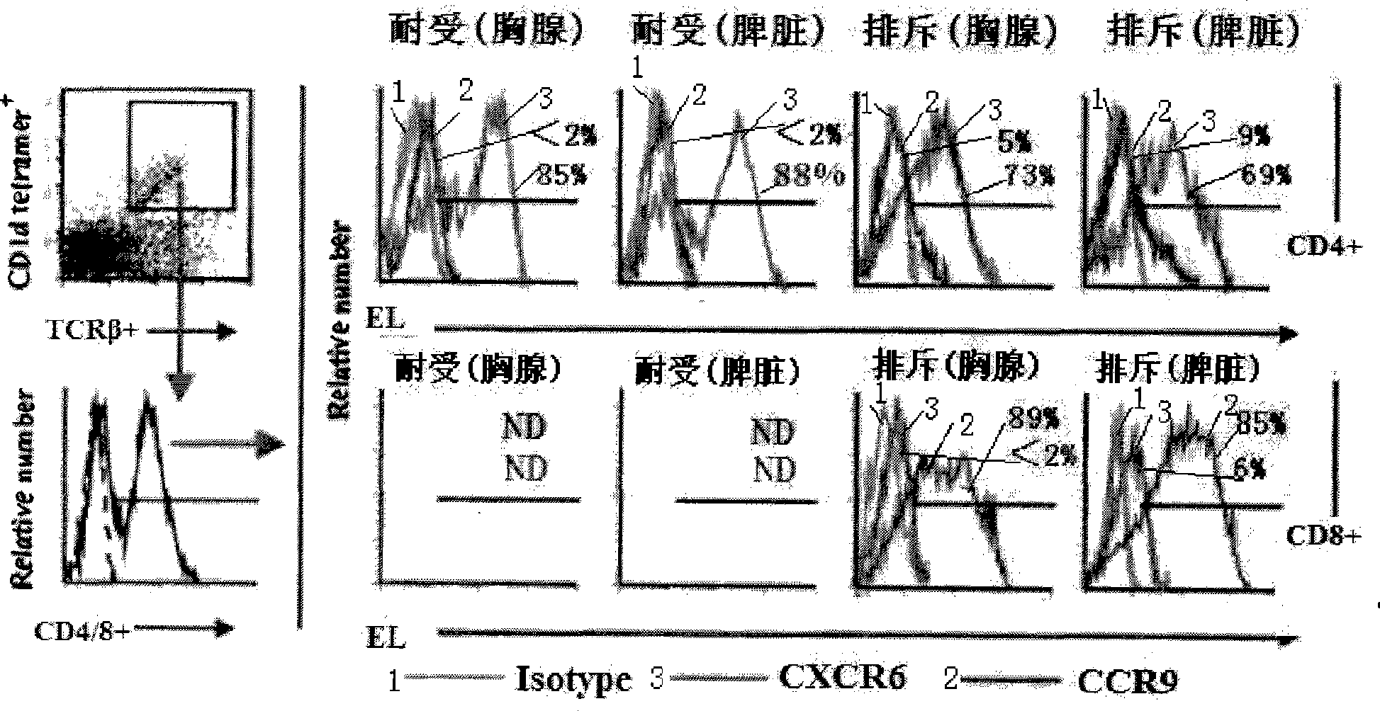 Method for constructing HSAT H-T-S mouse-human chimeric model and application