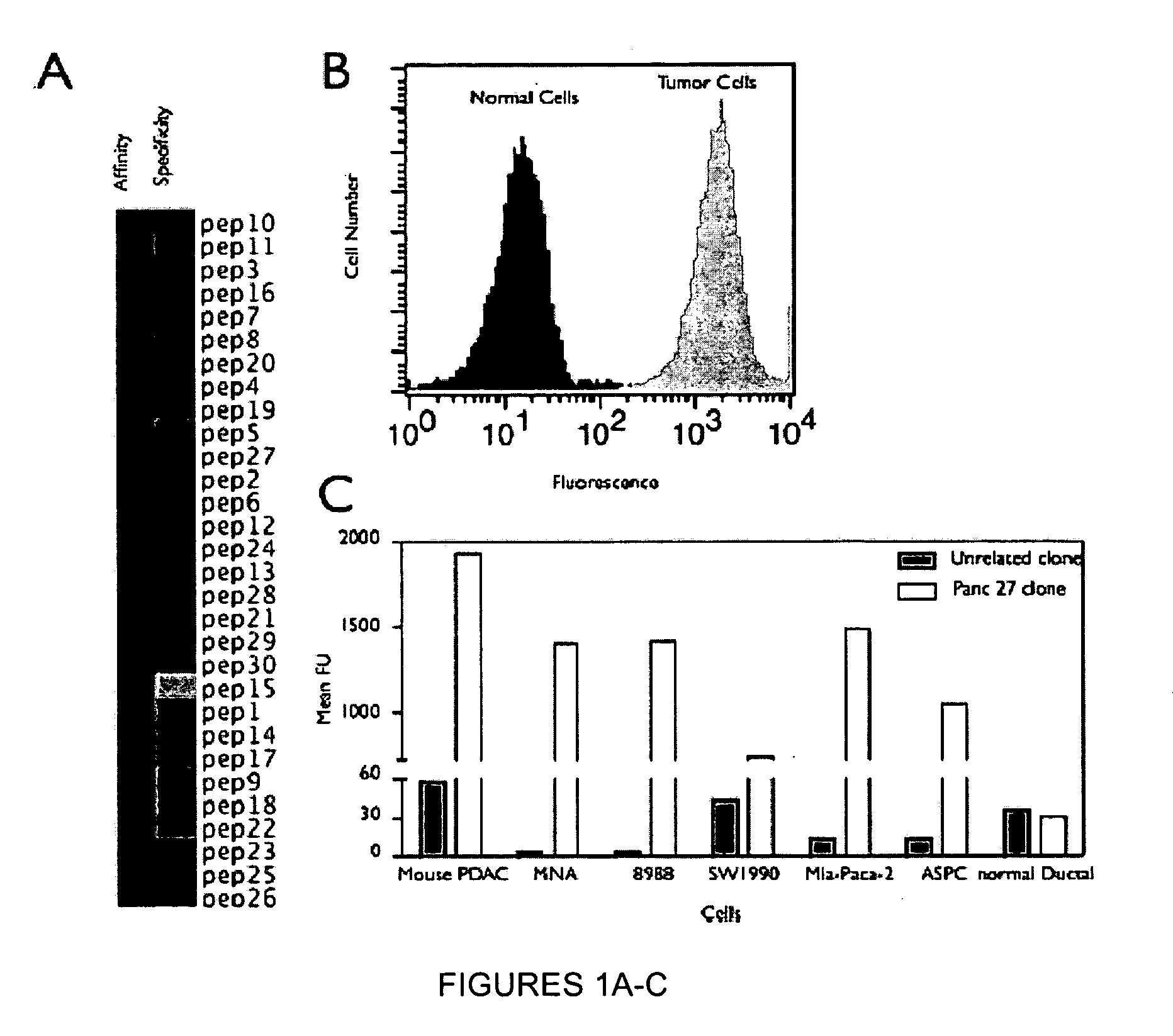 Plectin-1 targeted agents for detection and treatment of pancreatic ...