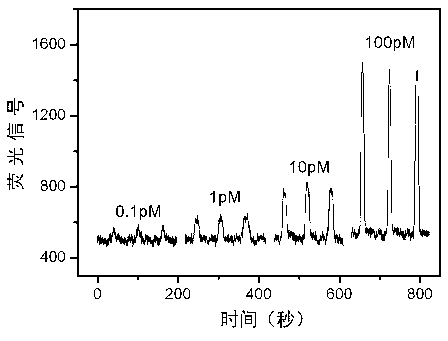 Detection method of eccentric focusing-type laser-induced fluorescence detection device suitable for detection on capillary column