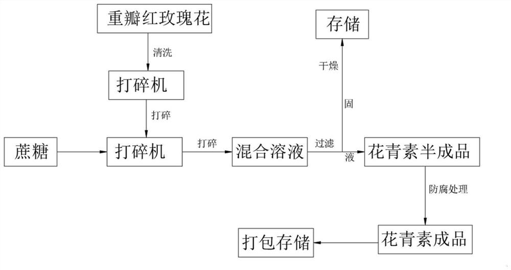 Extraction method of anthocyanin