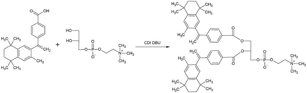 Bexarotene conjugate, drug composition and application thereof