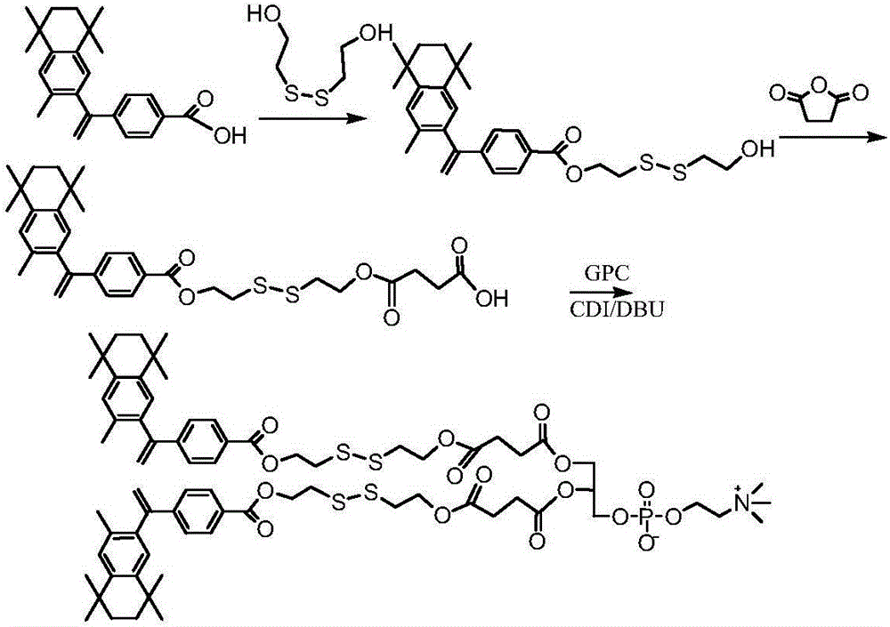 Bexarotene conjugate, drug composition and application thereof