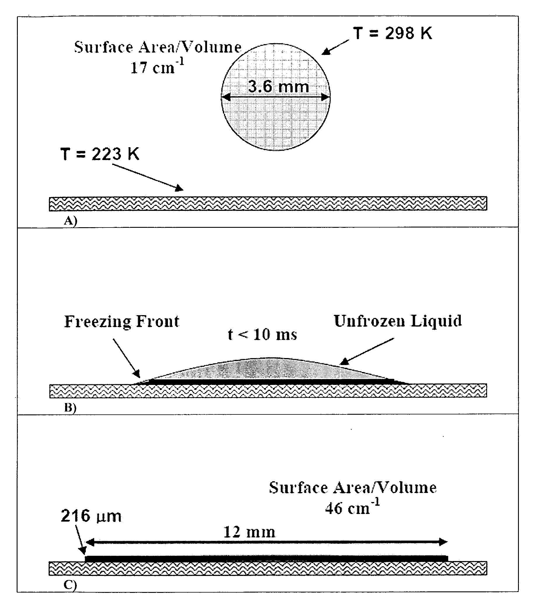 Formation of stable submicron peptide or protein particles by thin film freezing