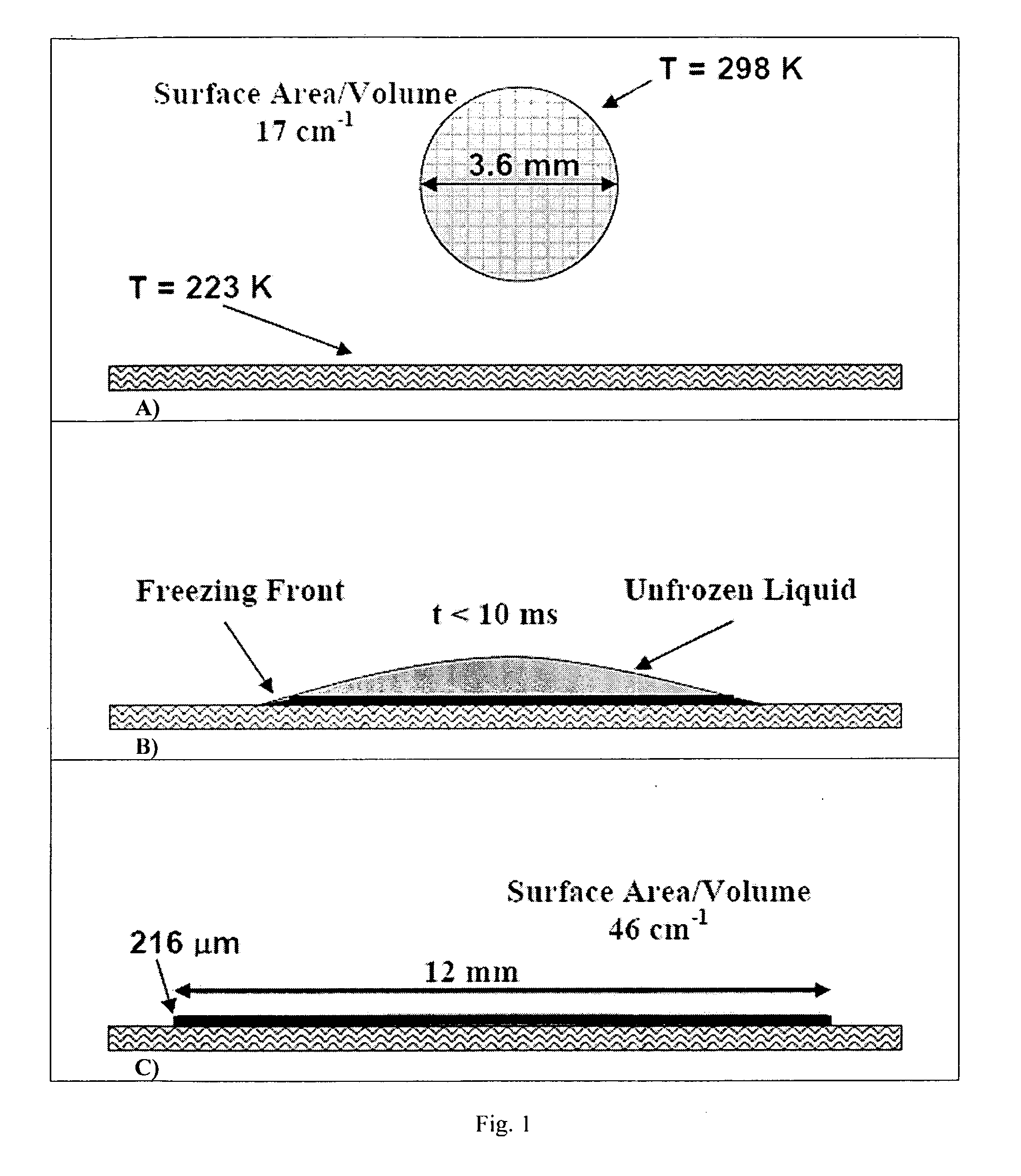 Formation of stable submicron peptide or protein particles by thin film freezing