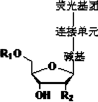 Four-color fluorescence labeling reversible terminal and use thereof in DNA (Deoxyribonucleic Acid) sequencing