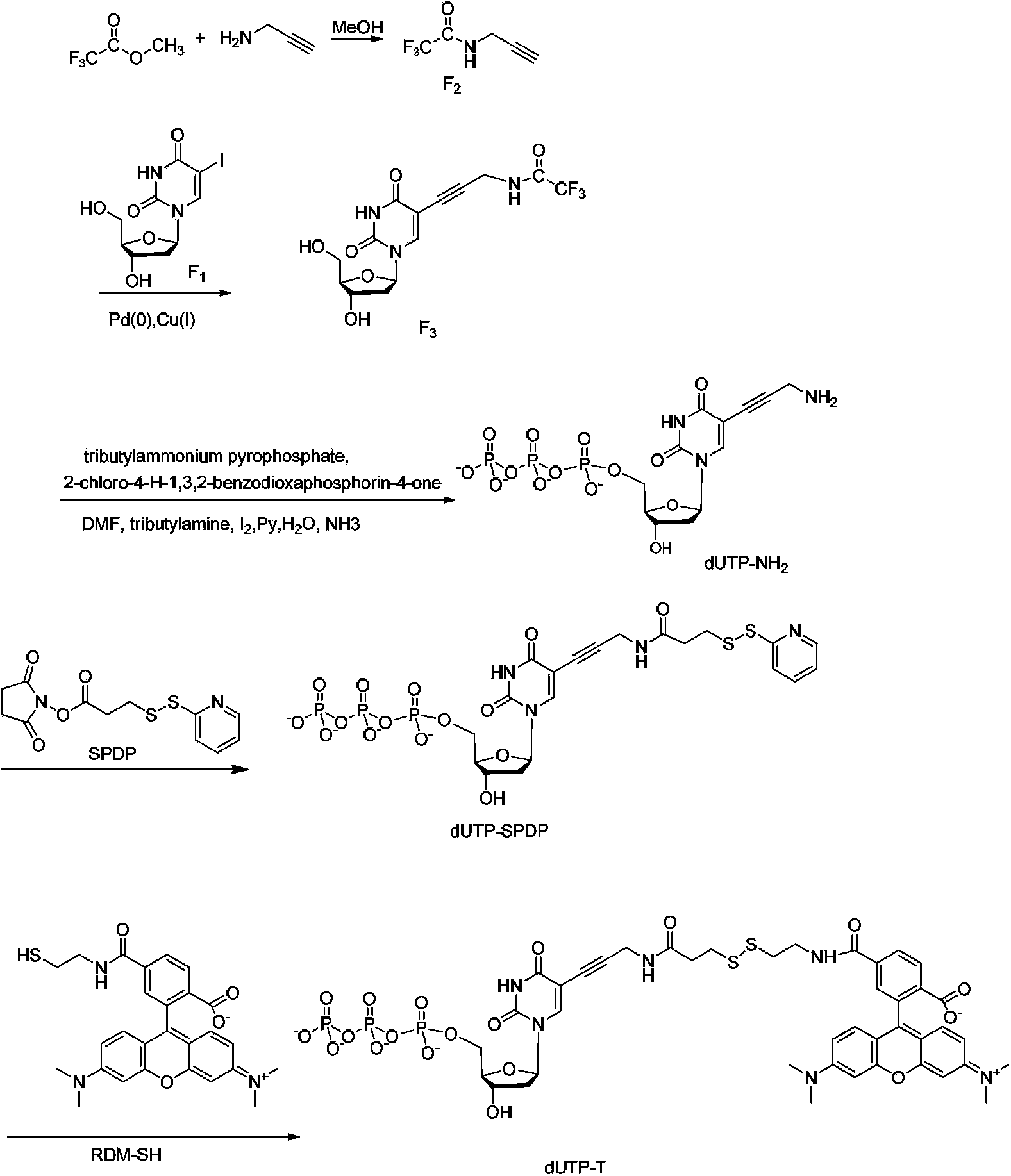 Four-color fluorescence labeling reversible terminal and use thereof in DNA (Deoxyribonucleic Acid) sequencing