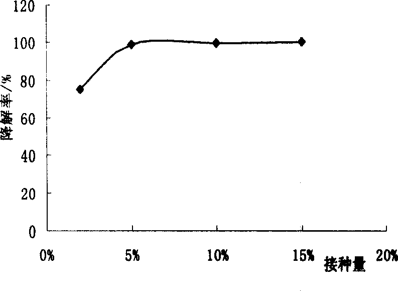 Degradating bacteria for hexachlorocyclohexane pesticide residue and its produced strain