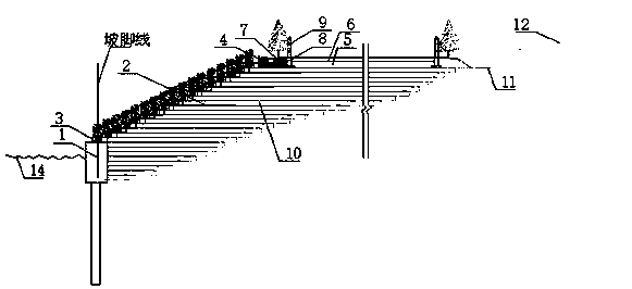 Road ecological slope protection system and construction method