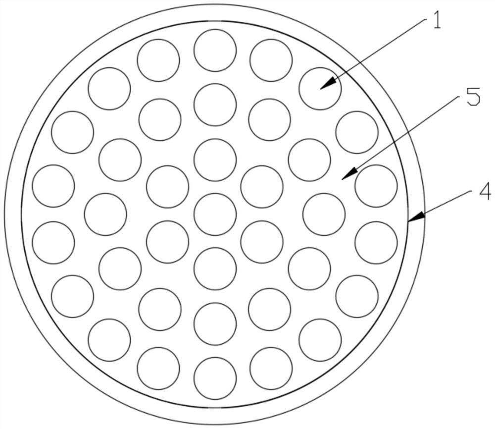 A hollow cylinder type seabed coral cultivation device and method