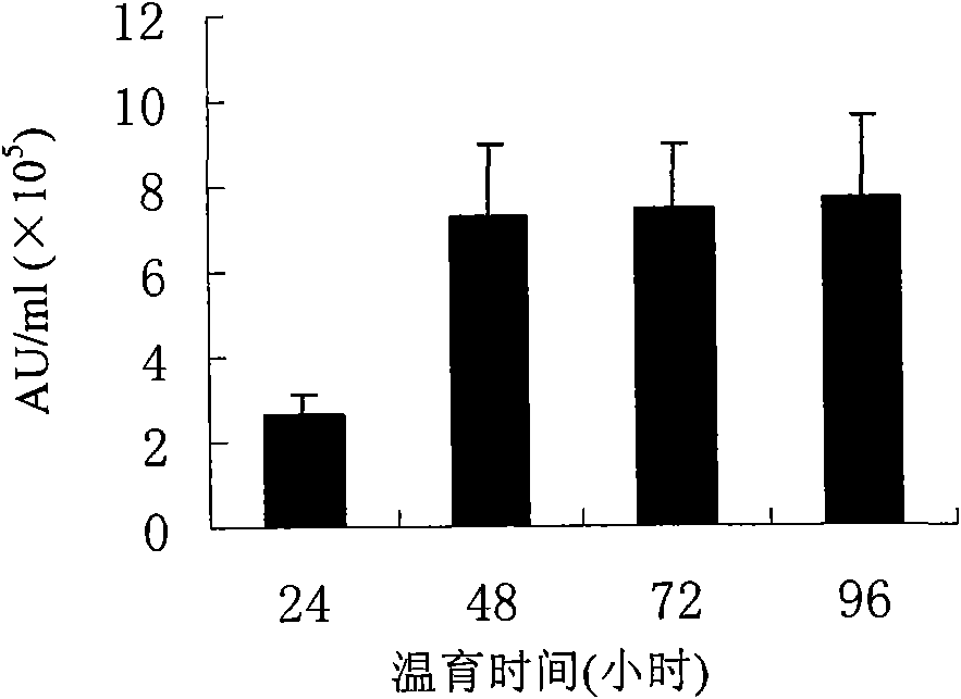 CHO cell line expressing porcine beta interferon and application thereof