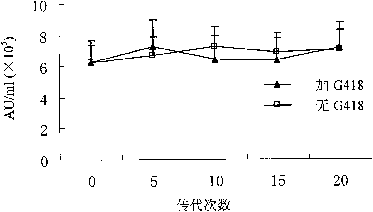 CHO cell line expressing porcine beta interferon and application thereof