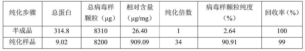 A purification method and application of porcine parvovirus virus-like particles