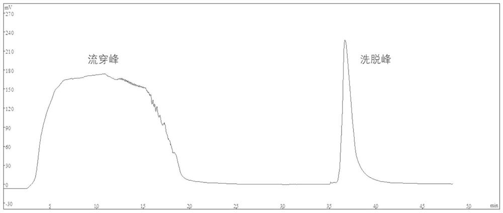 A purification method and application of porcine parvovirus virus-like particles