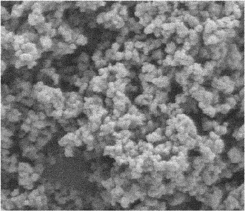 Method for preparing composite anode material of super capacitor lithium titanate