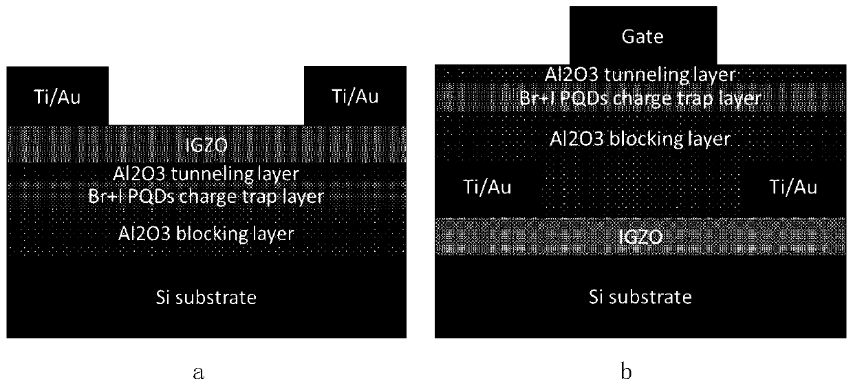 Photoelectric programming polymorphic memory based on thin film transistor structure and manufacturing method thereof