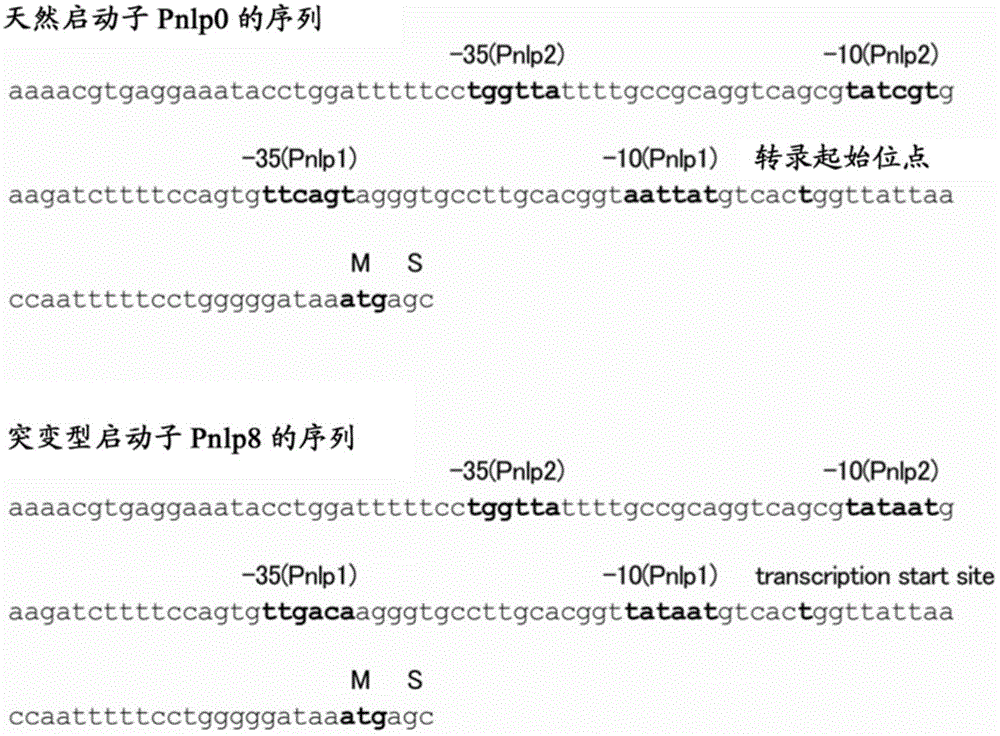 Method for producing l-cysteine