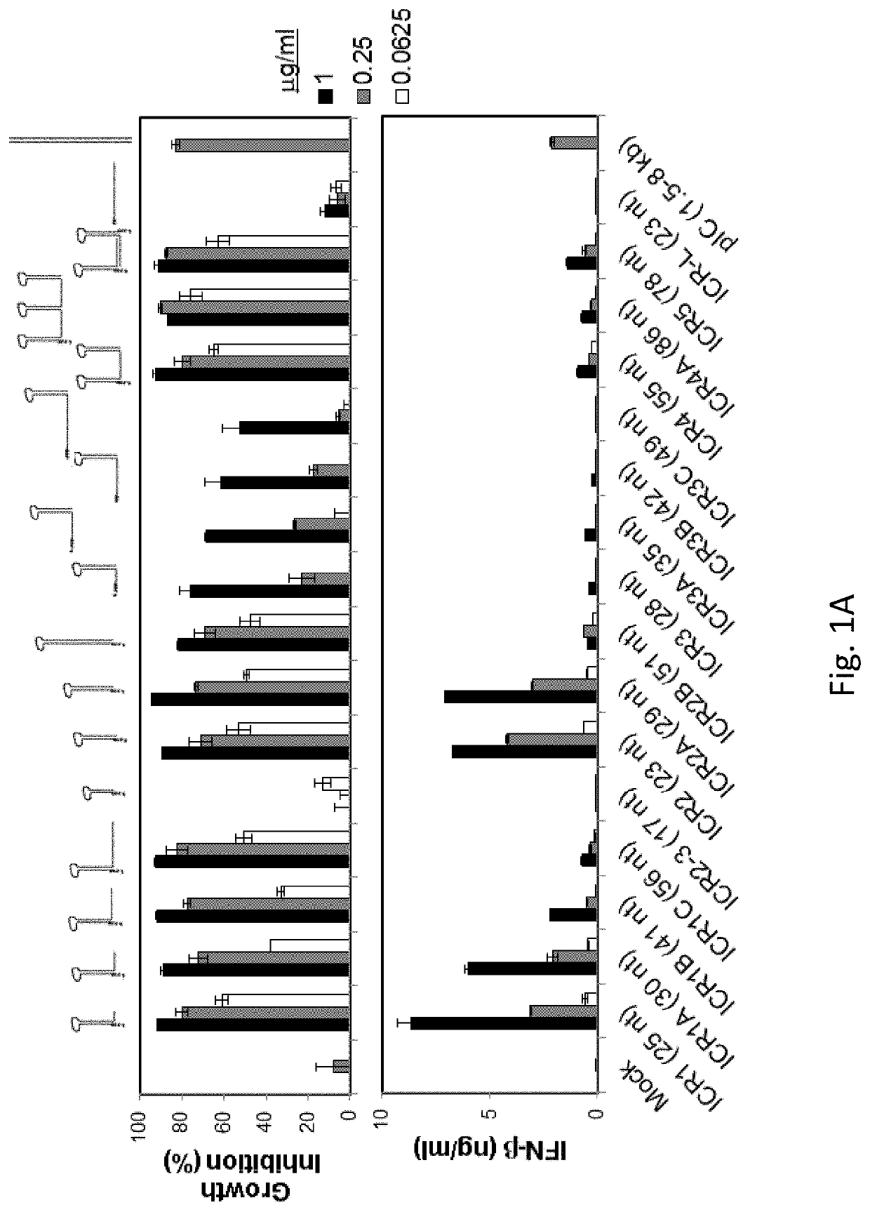 Compositions and methods for differential induction of cell death and interferon expression