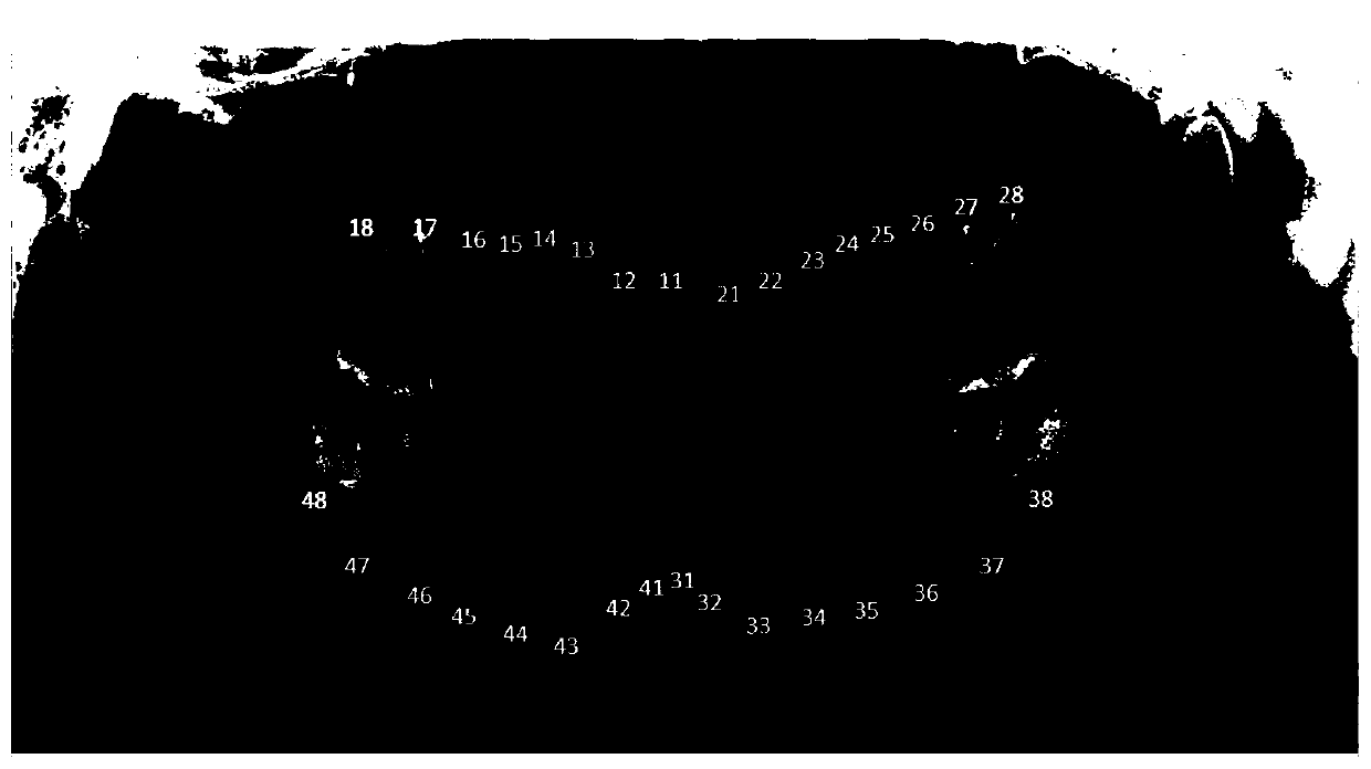 A panorama constant-tooth identification method and device based on deep learning