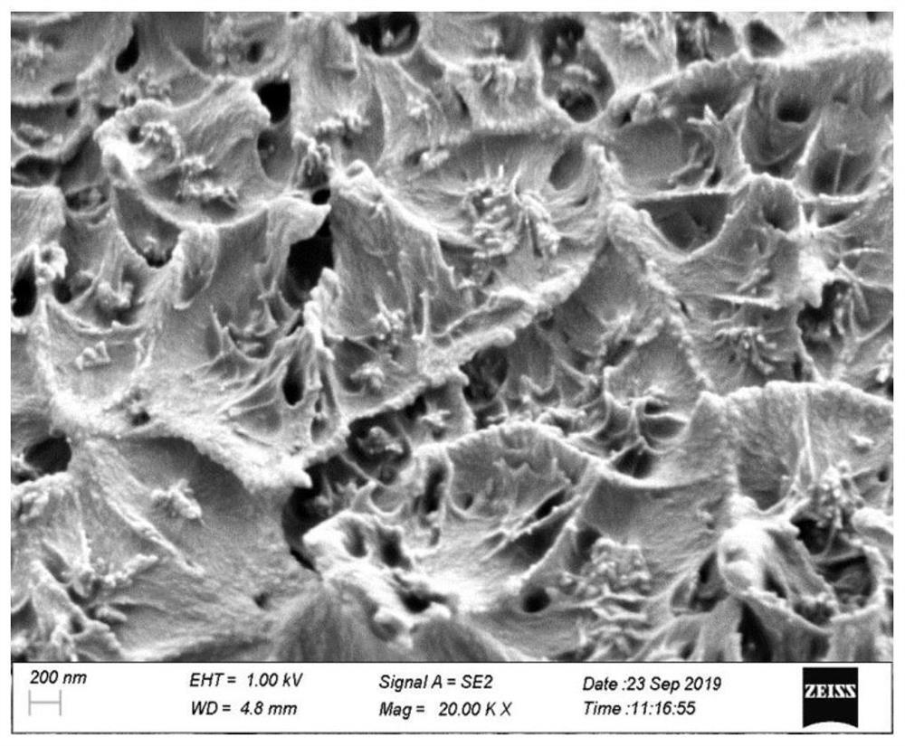 Preparation of amorphous polyaryletherketone (sulfone)-hydroxyapatite 3D printing material