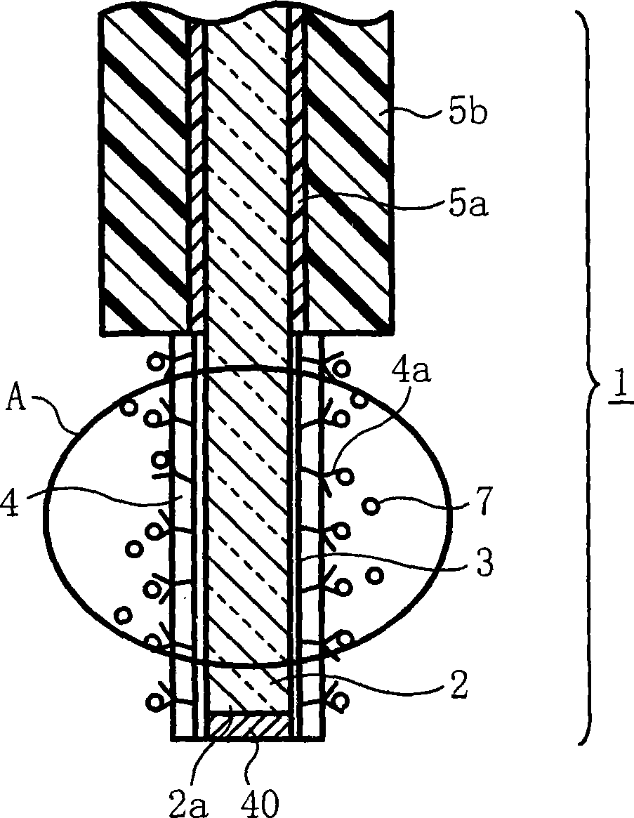 Biosensor, method for producing the same and sensor measurement system