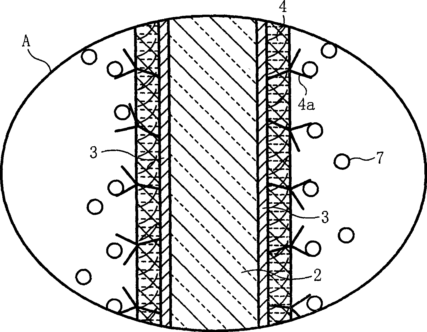 Biosensor, method for producing the same and sensor measurement system